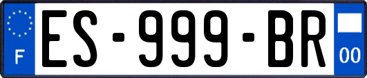 ES-999-BR