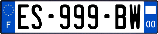 ES-999-BW