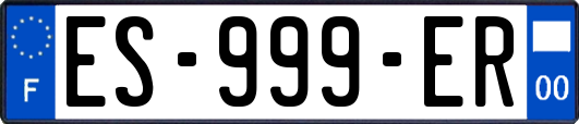 ES-999-ER