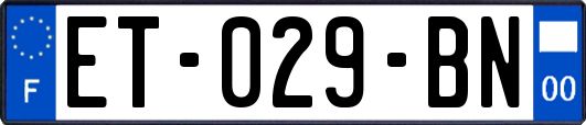 ET-029-BN