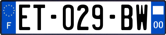 ET-029-BW