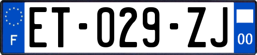 ET-029-ZJ