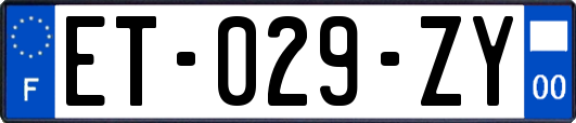 ET-029-ZY