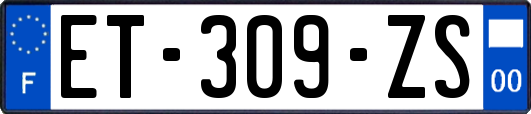 ET-309-ZS