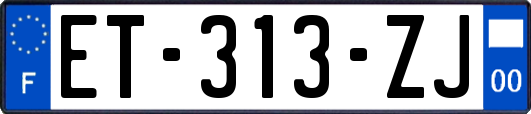 ET-313-ZJ