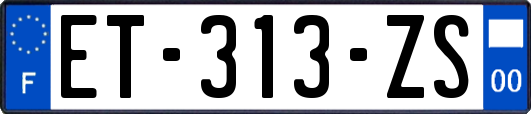 ET-313-ZS