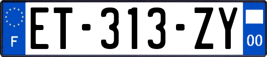 ET-313-ZY