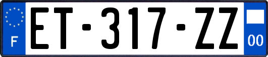 ET-317-ZZ