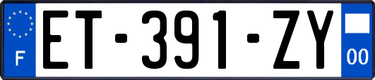 ET-391-ZY