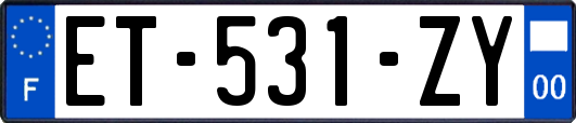 ET-531-ZY