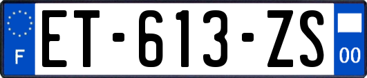 ET-613-ZS