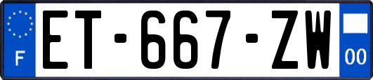 ET-667-ZW