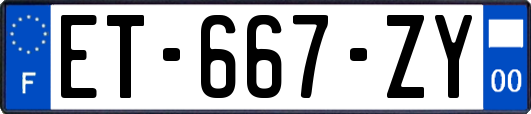 ET-667-ZY