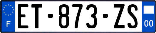 ET-873-ZS