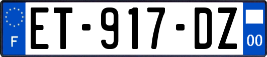 ET-917-DZ