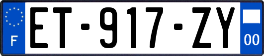 ET-917-ZY