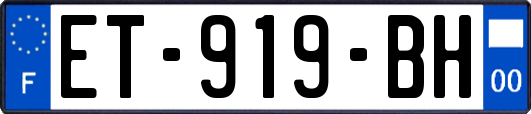 ET-919-BH