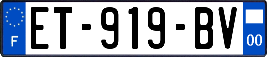 ET-919-BV