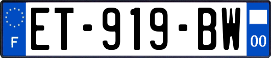 ET-919-BW