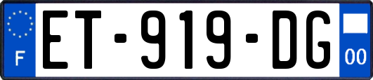 ET-919-DG