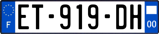 ET-919-DH