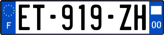 ET-919-ZH