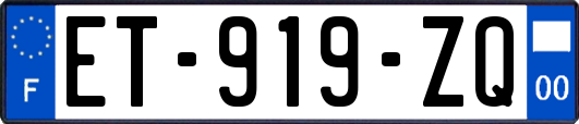 ET-919-ZQ