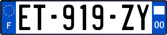 ET-919-ZY