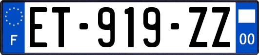 ET-919-ZZ