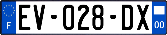 EV-028-DX