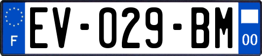 EV-029-BM