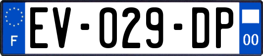 EV-029-DP