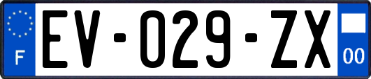 EV-029-ZX