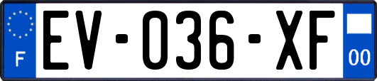 EV-036-XF
