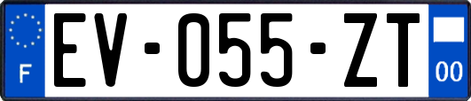 EV-055-ZT