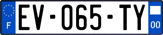 EV-065-TY