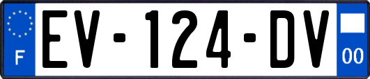 EV-124-DV