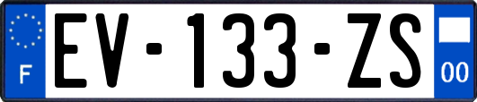 EV-133-ZS