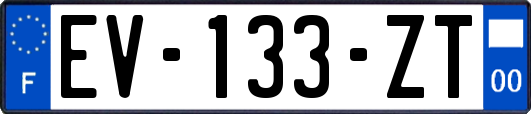 EV-133-ZT