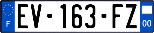 EV-163-FZ