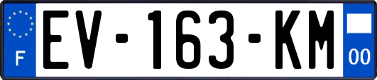 EV-163-KM
