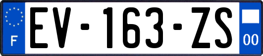 EV-163-ZS