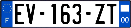 EV-163-ZT