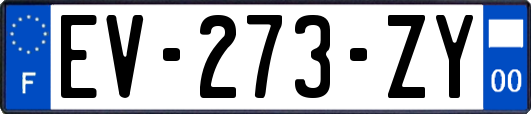 EV-273-ZY