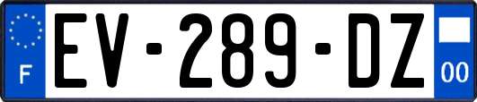 EV-289-DZ