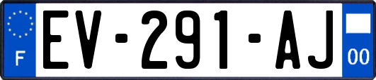EV-291-AJ