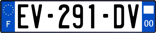 EV-291-DV