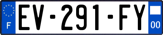 EV-291-FY