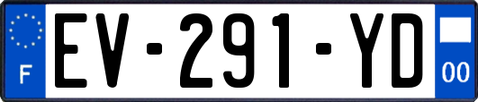EV-291-YD