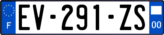 EV-291-ZS